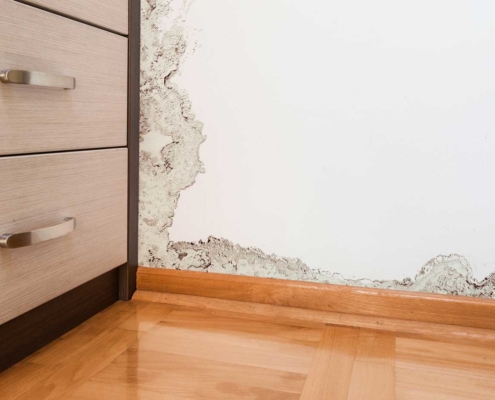 Corner of house showing mold and decay on wall